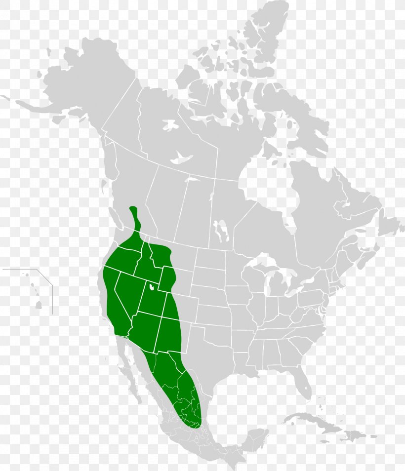 Chihuahuan Desert Sonoran Desert United States Of America Clark's Nutcracker, PNG, 1712x1992px, Chihuahuan Desert, Area, Desert, Deserts And Xeric Shrublands, Ecoregion Download Free