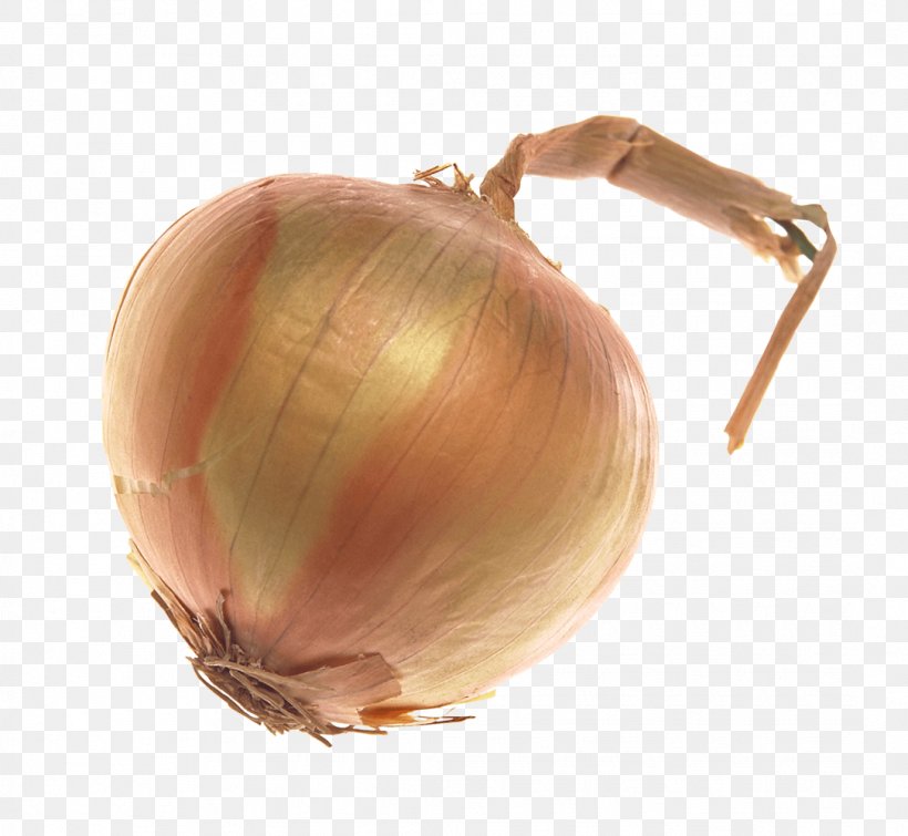 Onion Vegetable, PNG, 1085x1000px, Onion, Food, Ingredient, Layers, Onion Genus Download Free