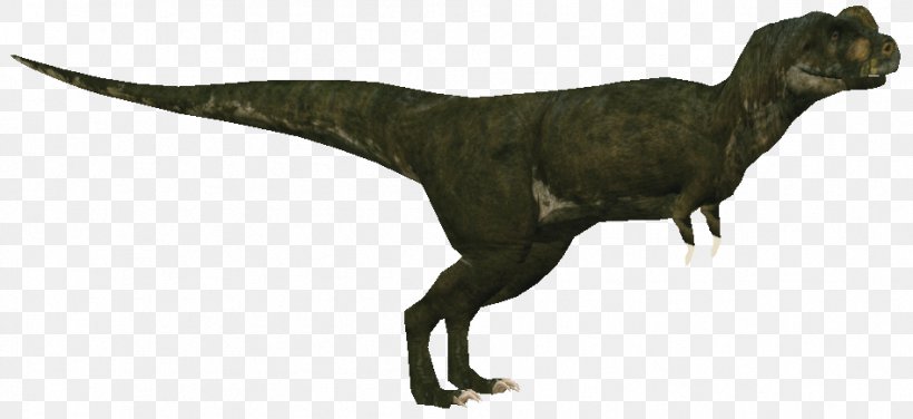 Tyrannosaurus Velociraptor Animal, PNG, 946x434px, Tyrannosaurus, Animal, Animal Figure, Dinosaur, Extinction Download Free