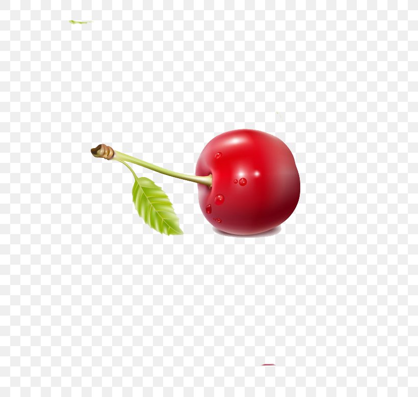 Cherry Berry Fruit Red, PNG, 686x780px, Cherry, Berry, Cherry Blossom, Drop, Food Download Free