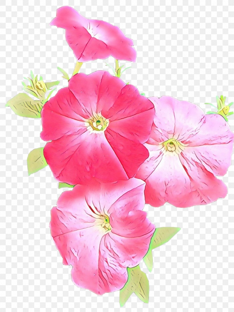 Flower Petal Pink Plant Morning Glory, PNG, 959x1280px, Flower, Herbaceous Plant, Impatiens, Morning Glory, Morning Glory Family Download Free