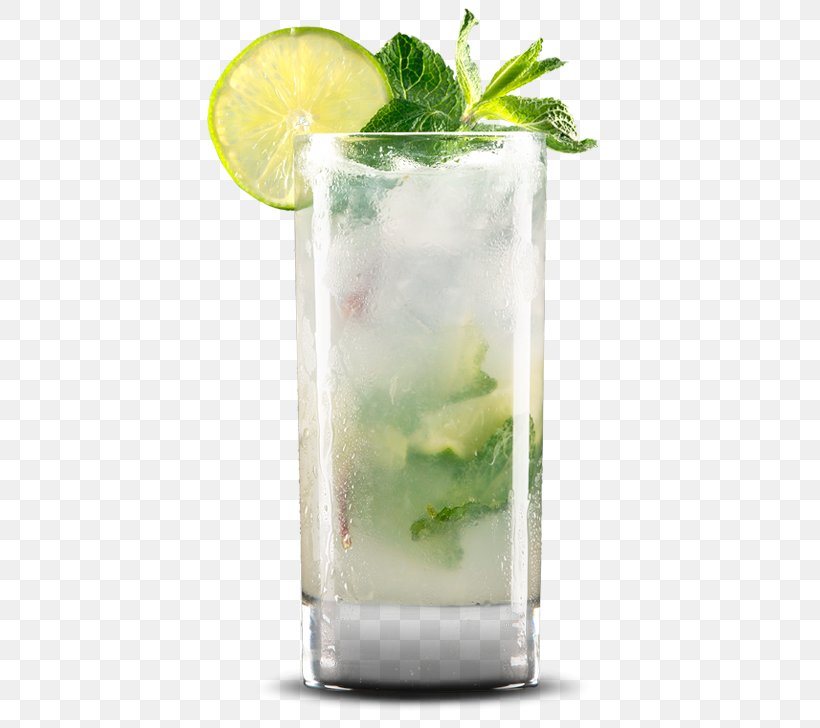 Mojito Cocktail Garnish Gin And Tonic Caipirinha, PNG, 500x728px, Mojito, Bacardi Cocktail, Caipirinha, Caipiroska, Cocktail Download Free