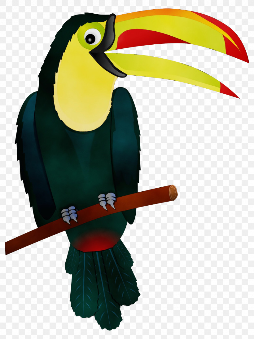 Toucans Piciformes Hornbill Beak Macaw, PNG, 1800x2400px, Watercolor, Beak, Biology, Hornbill, Macaw Download Free
