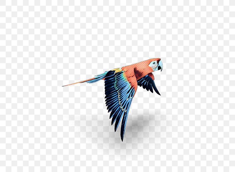 Bird Parrot, PNG, 600x600px, Macaw, Beak, Bird, Coraciiformes, Feather Download Free