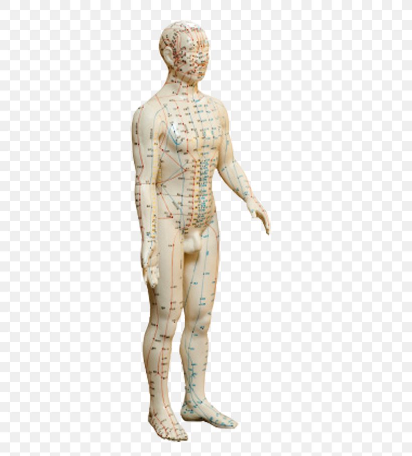 Classical Sculpture Homo Sapiens Figurine Classicism, PNG, 709x907px, Sculpture, Classical Sculpture, Classicism, Figurine, Homo Sapiens Download Free