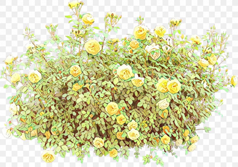 Flower Plant Chamomile Camomile Mayweed, PNG, 1281x901px, Cartoon, Burclover, Camomile, Chamomile, Flower Download Free