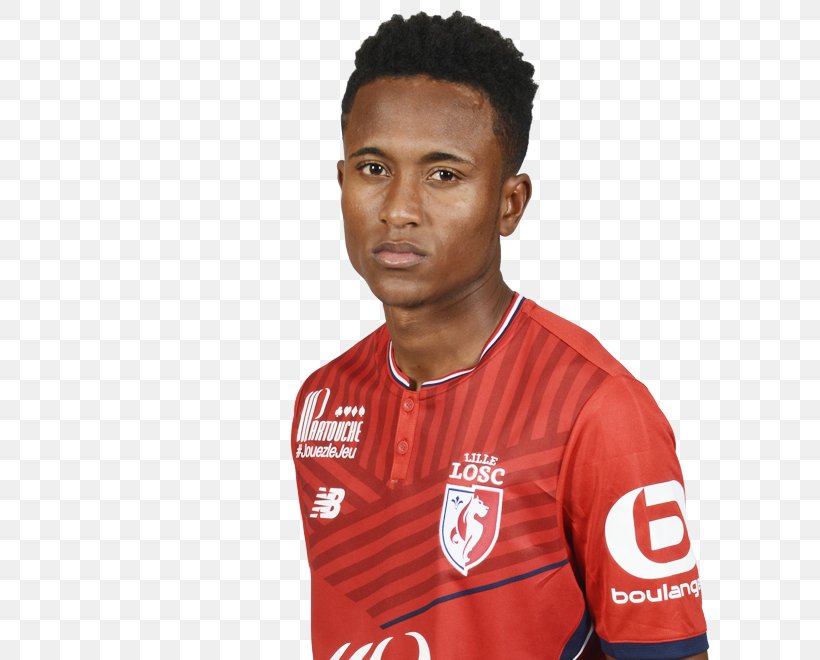 Luiz Araújo Lille OSC France Football Player, PNG, 620x660px, Lille Osc, Championnat National 2, Defender, Football, Football Player Download Free