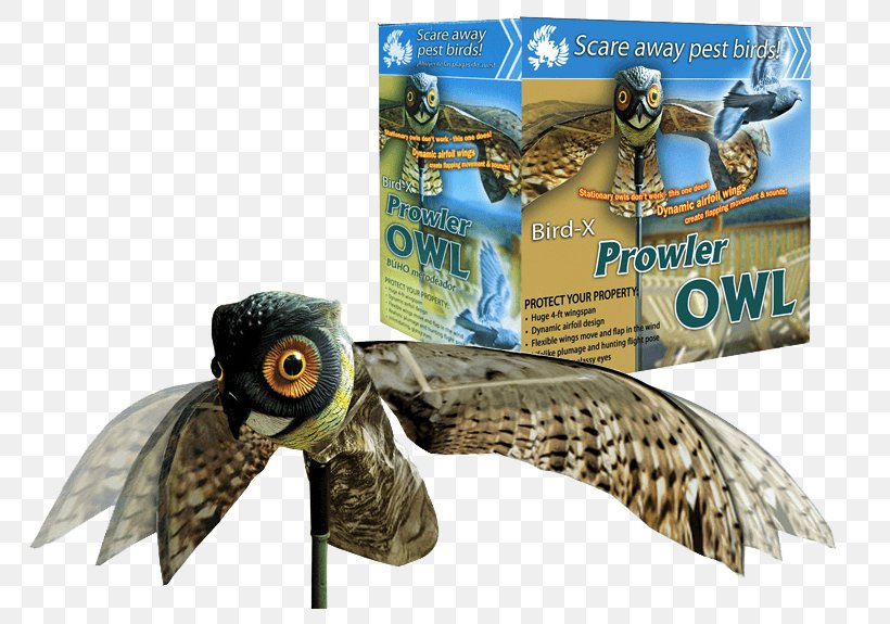 Owl Bird Scarer Decoy Bird Control, PNG, 768x575px, Owl, Beak, Bird, Bird Control, Bird Scarer Download Free