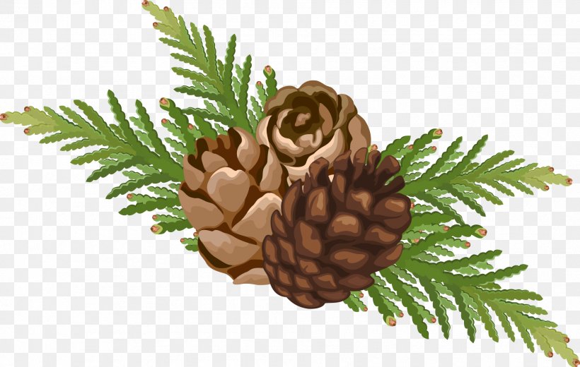 Pine Christmas Conifer Cone Santa Claus, PNG, 1875x1190px, Pine, Christmas, Christmas And Holiday Season, Christmas Ornament, Conifer Download Free