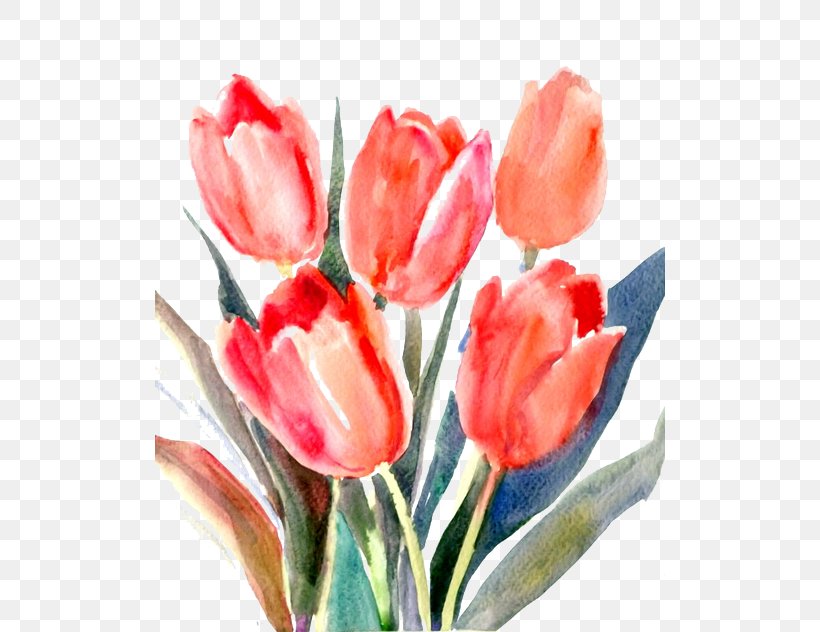 Tulip Red Cut Flowers, PNG, 510x632px, Tulip, Acrylic Paint, Cut Flowers, Designer, Flower Download Free