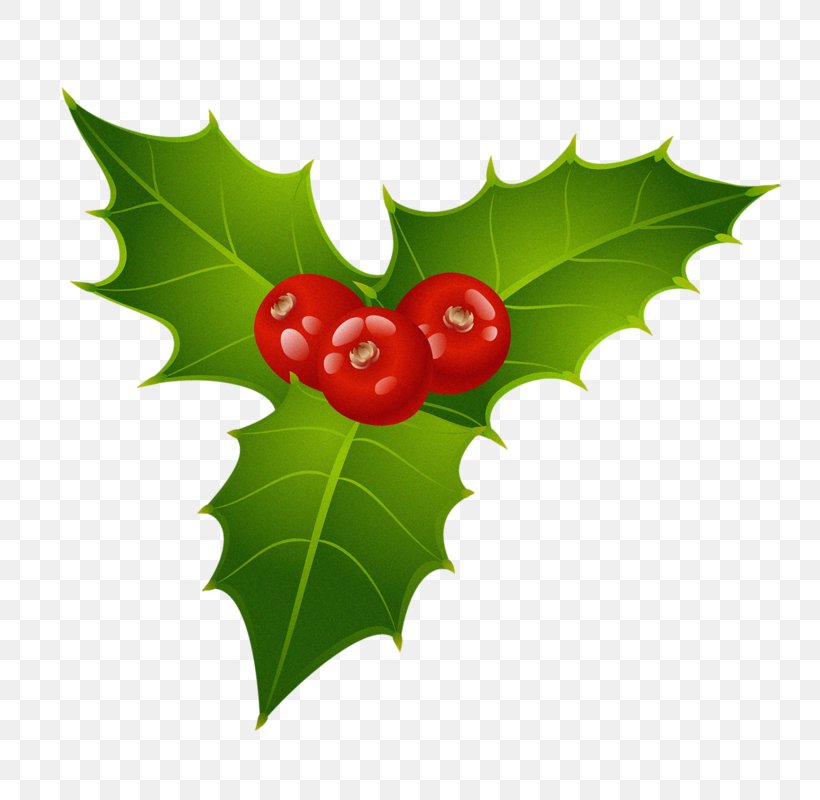 Christmas Decoration Drawing, PNG, 800x800px, Mistletoe, American Holly, Berry, Candy Cane, Christmas Day Download Free
