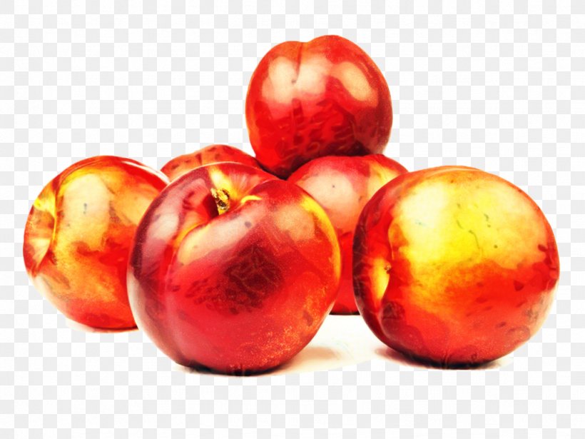 Fruit Cartoon, PNG, 1023x768px, Nectarine, Apple, Apricot, Armenian Plum, Cherries Download Free