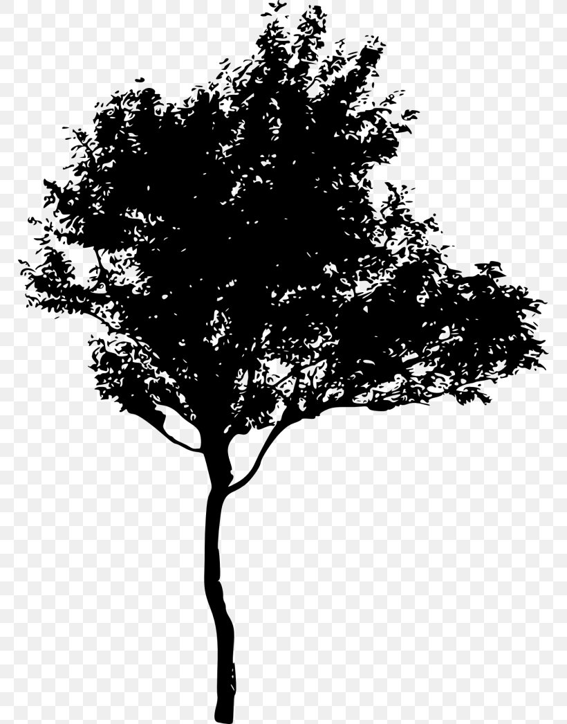 Silhouette Tree Royalty-free, PNG, 768x1046px, Silhouette, Black And White, Branch, Leaf, Monochrome Download Free
