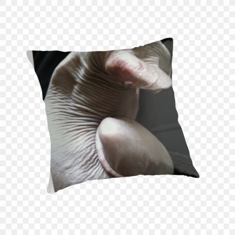 Throw Pillows Cushion Snout, PNG, 875x875px, Throw Pillows, Cushion, Neck, Pillow, Snout Download Free