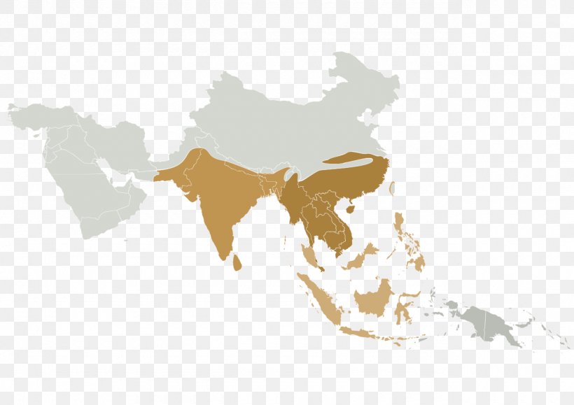 Asia Blank Map Globe Cartography, PNG, 1280x905px, Asia, Blank Map, Cartography, Geography, Globe Download Free