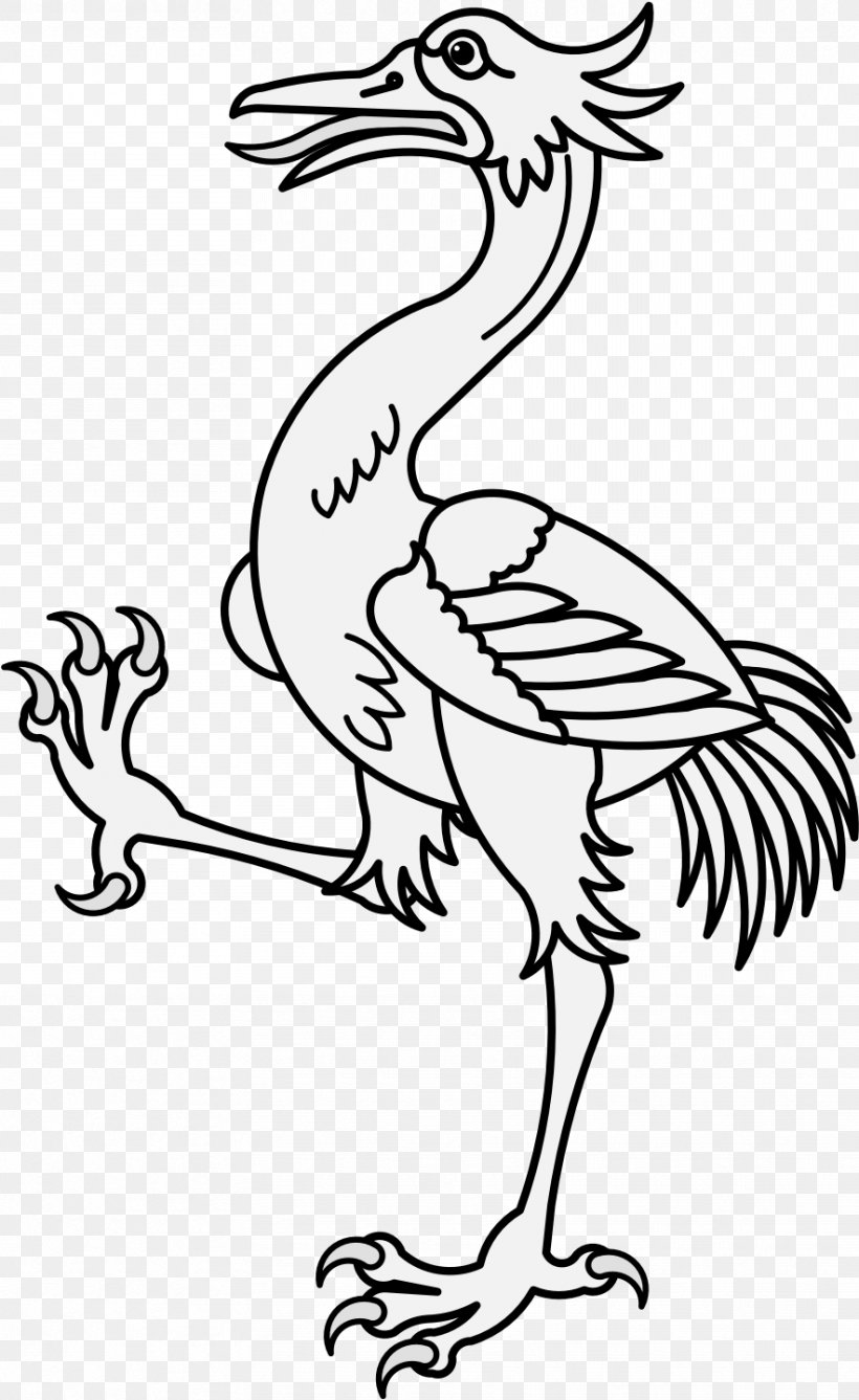 Bird White Beak Line Art Coloring Book, PNG, 884x1442px, Bird, Beak, Chicken, Coloring Book, Head Download Free