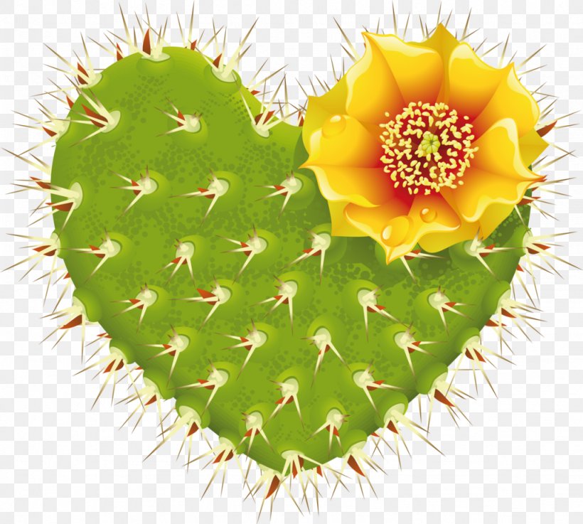 Cactaceae Heart Flowering Plant, PNG, 1024x921px, Cactaceae, Barbary Fig, Cactus, Caryophyllales, Eastern Prickly Pear Download Free