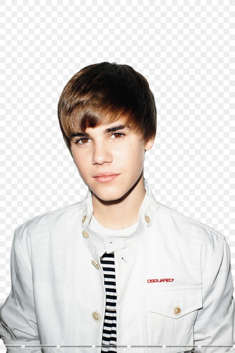 Justin Bieber Desktop Wallpaper Clip Art, PNG, 1000x1500px, Watercolor,  Cartoon, Flower, Frame, Heart Download Free