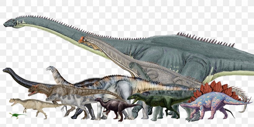 Dinosaur Size Morrison Formation Argentinosaurus Stegosaurus Allosaurus, PNG, 2000x1000px, Dinosaur Size, Allosaurus, Amphicoelias, Animal Figure, Argentinosaurus Download Free