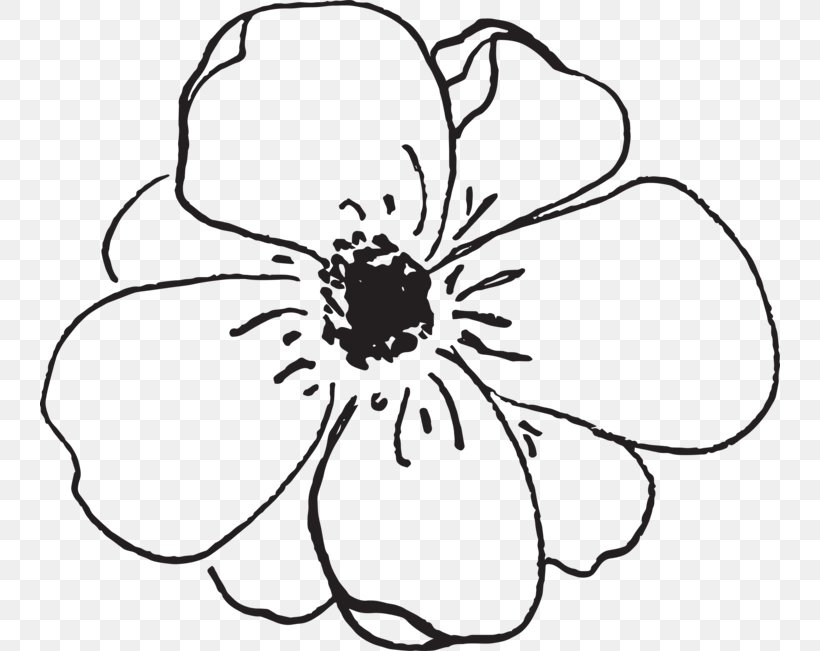 Flower Drawing Floral Design, PNG, 740x651px, Flower, Artwork, Black, Black And White, Courtney Cotter King Download Free