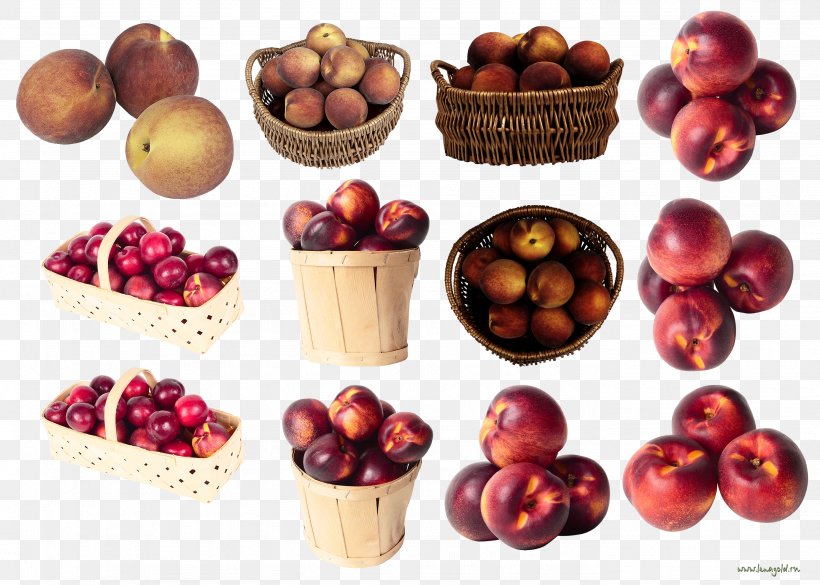 Nectarine Apricot Food Cerasus Cranberry, PNG, 2764x1972px, Nectarine, Apple, Apricot, Berry, Cerasus Download Free