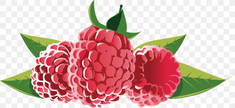 Strawberry European Blueberry Fruit, PNG, 2786x1278px, Cranberry Juice, Auglis, Berry, Biscuits, Carnation Download Free