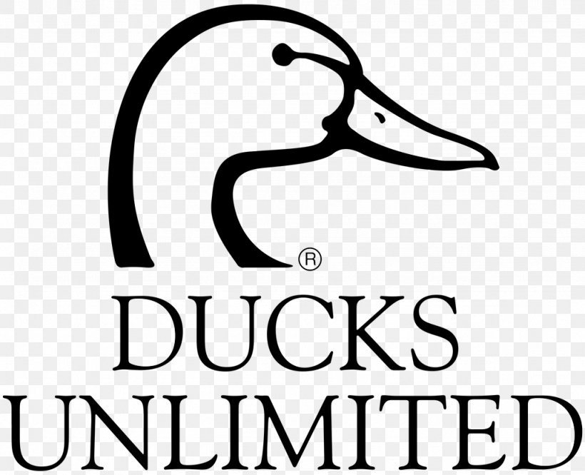 Ducks Unlimited Organization Logo AutoCAD DXF, PNG, 1024x832px, Ducks Unlimited, Appomattox Wealth Management, Area, Artwork, Autocad Dxf Download Free