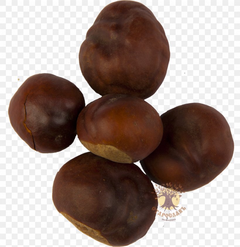 European Horse-chestnut Hazelnut Praline, PNG, 1024x1057px, Chestnut, Auglis, Bonbon, Bossche Bol, Buckeyes Download Free