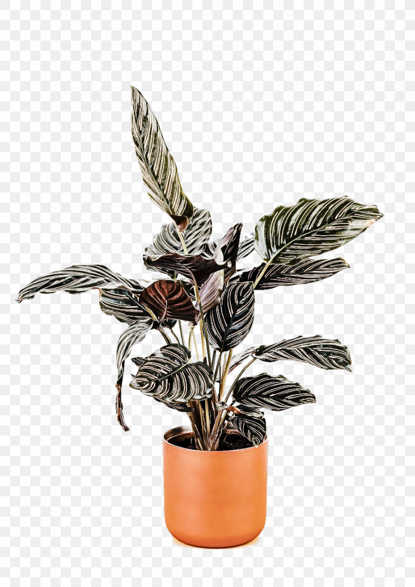 Houseplant Flower Flowerpot Plant Leaf, PNG, 919x1300px, Houseplant, Anthurium, Arrowroot Family, Flower, Flowerpot Download Free