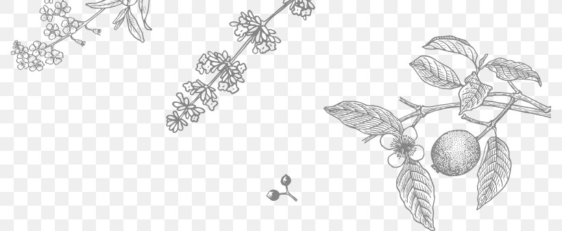 Line Art Coloring Book Sketch, PNG, 789x337px, Line Art, Artwork, Black And White, Branch, Coloring Book Download Free