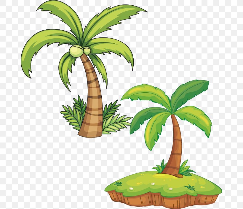 Plant Royalty-free Arecaceae Illustration, PNG, 680x704px, Plant, Arecaceae, Arecales, Coconut, Drawing Download Free