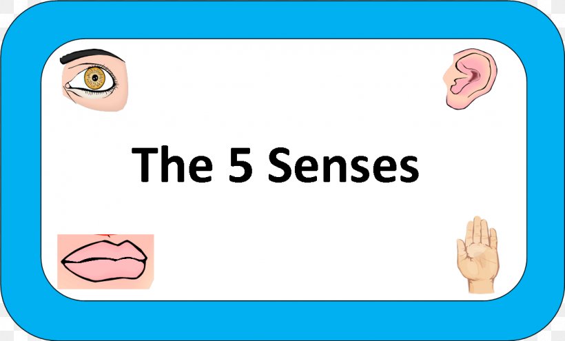 The Five Senses Eye Taste Game, PNG, 1123x678px, Watercolor, Cartoon, Flower, Frame, Heart Download Free