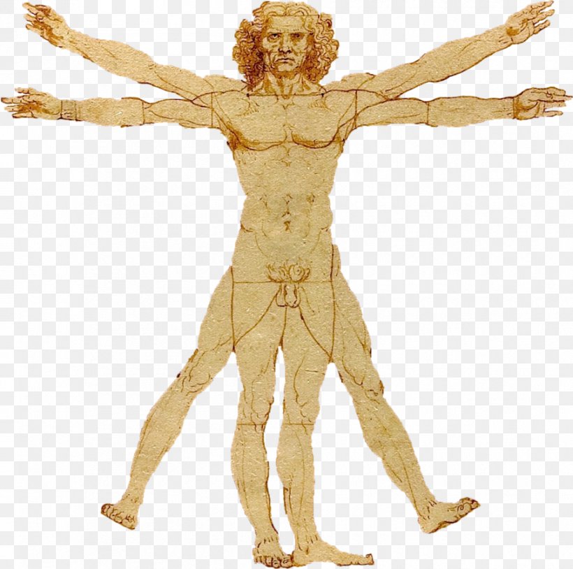 Vitruvian Man Lady With An Ermine Gallerie Dell'Accademia De Architectura Golden Ratio, PNG, 905x899px, Vitruvian Man, Arm, Art, De Architectura, Drawing Download Free