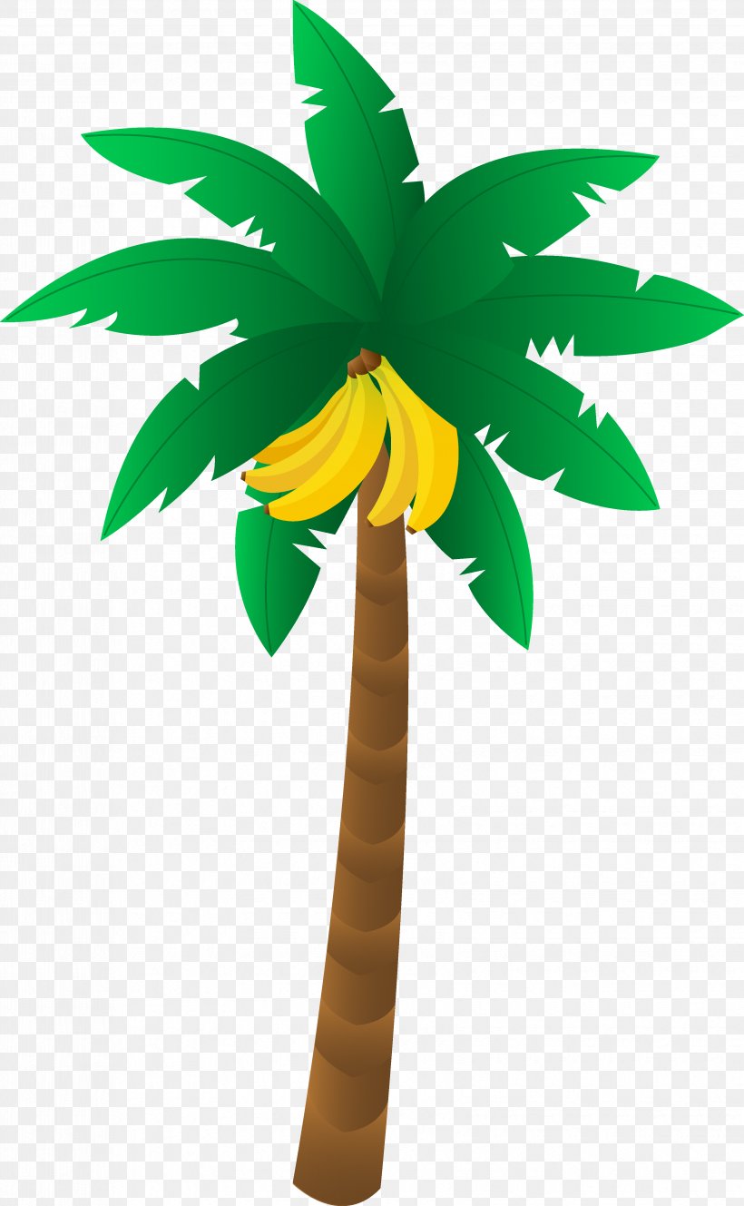 Banana Leaf Clip Art, PNG, 3305x5359px, Banana, Banana Leaf, Coconut, Cooking Banana, Drawing Download Free