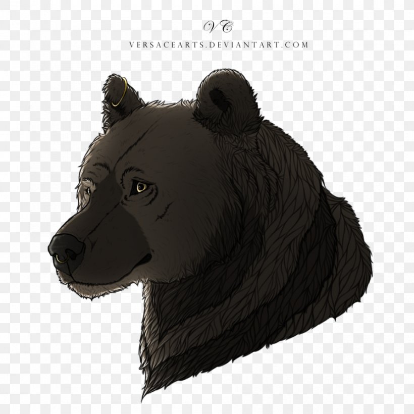 Bear Fur Snout Terrestrial Animal, PNG, 894x894px, Bear, Animal, Carnivoran, Fur, Mammal Download Free