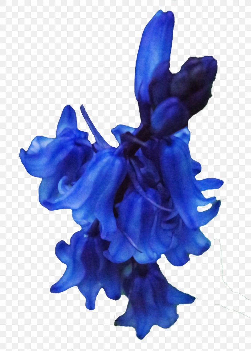Cut Flowers Petal, PNG, 1024x1432px, Cut Flowers, Blue, Cobalt Blue, Flower, Flowering Plant Download Free