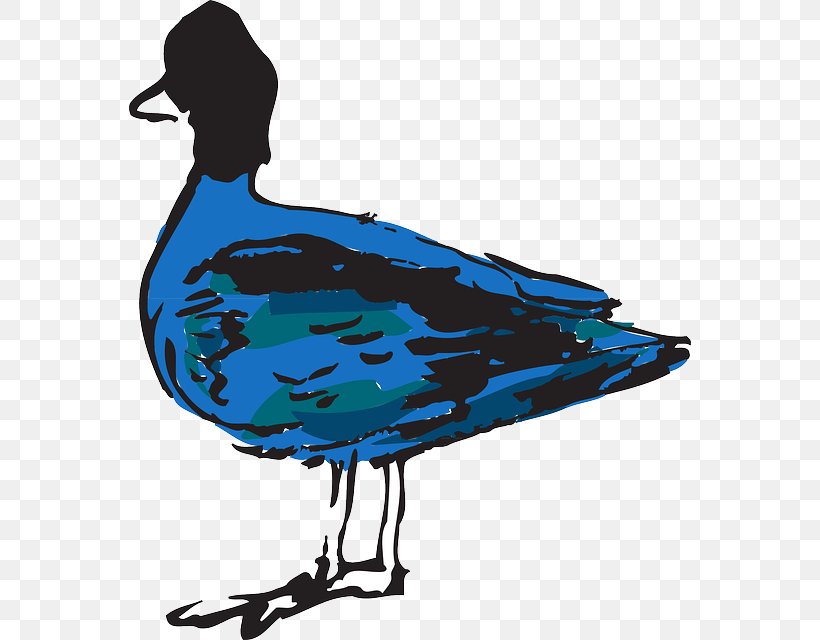 Duck Bird Clip Art, PNG, 562x640px, Duck, Art, Azure, Beak, Bird Download Free