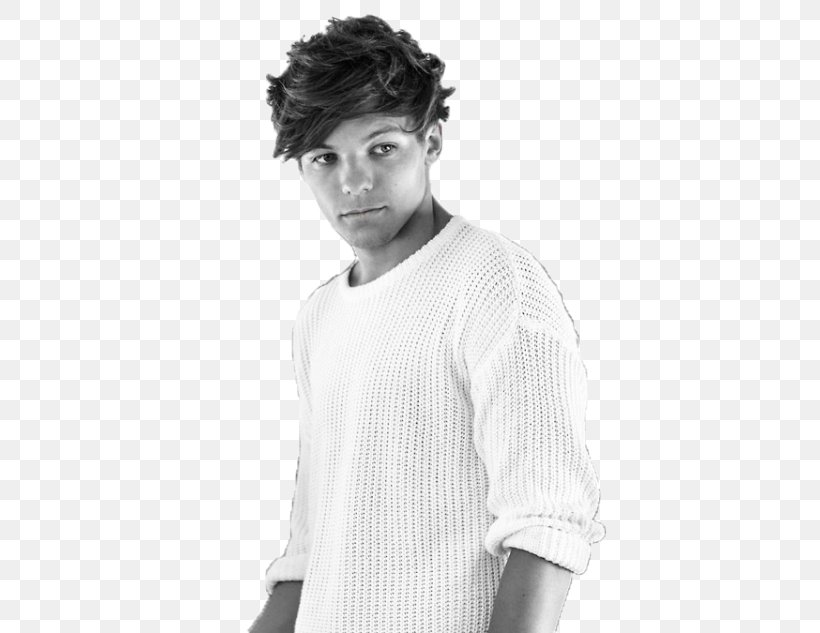 Louis Tomlinson One Direction Photography Photo Shoot Portrait, PNG, 500x633px, Watercolor, Cartoon, Flower, Frame, Heart Download Free