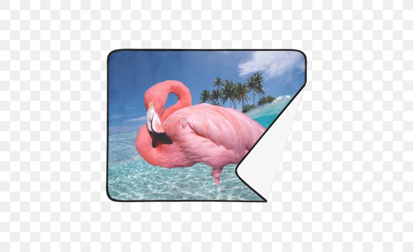 Vehicle License Plates Motor Vehicle Registration Bird Florida, PNG, 500x500px, Vehicle License Plates, Beak, Bird, Flamant, Flamingo Download Free