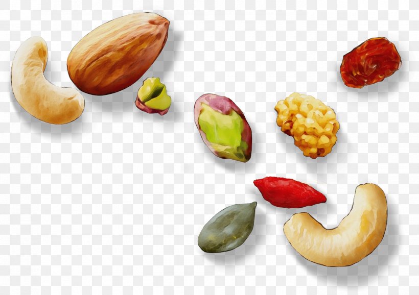 Watercolor Plant, PNG, 1390x980px, Watercolor, Almond, Berries, Cashew, Cashew Family Download Free