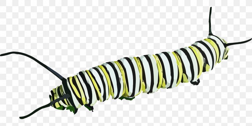 Butterfly Caterpillar Insect Clip Art, PNG, 1280x640px, Butterfly, Butterflies And Moths, Caterpillar, Insect, Invertebrate Download Free