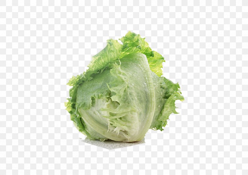 Lettuce Sandwich Leaf Vegetable Salad, PNG, 1000x706px, Lettuce Sandwich, Broccoli, Cabbage, Cauliflower, Chinese Cabbage Download Free