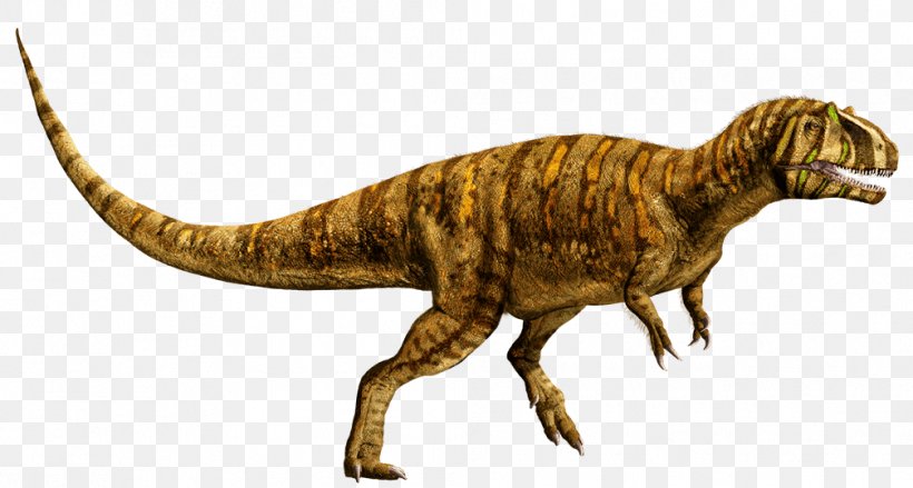 Metriacanthosaurus Tyrannosaurus Universal Pictures Suchomimus Dimorphodon, PNG, 1007x540px, Metriacanthosaurus, Animal Figure, Claw, Dimorphodon, Dinosaur Download Free