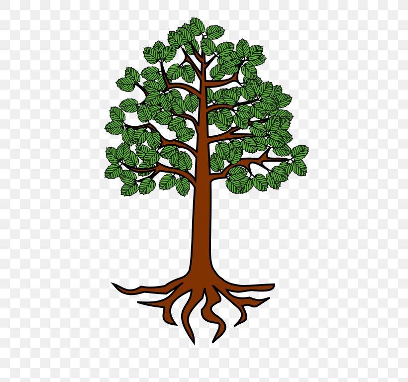 Tree Root Trunk Clip Art, PNG, 698x768px, Tree, Alder, Branch, Drawing, Flowerpot Download Free