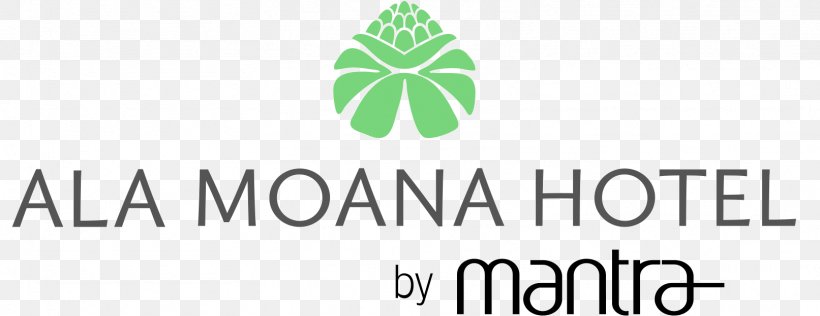 Ala Moana Hotel Yugansktransteploservis Maui Divers Jewelry Beach, PNG, 1613x623px, Hotel, Ala Moana, Antigravity Yoga, Area, Beach Download Free