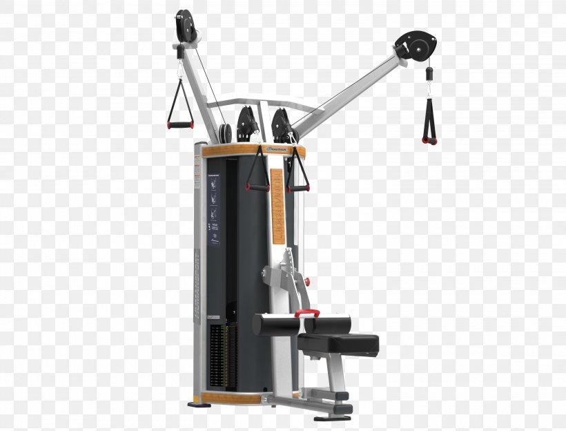 Elliptical Trainers Exercise Machine Pulldown Exercise Physical Fitness Fitness Centre, PNG, 3000x2283px, Elliptical Trainers, Biceps Curl, Clean And Press, Crunch, Elliptical Trainer Download Free