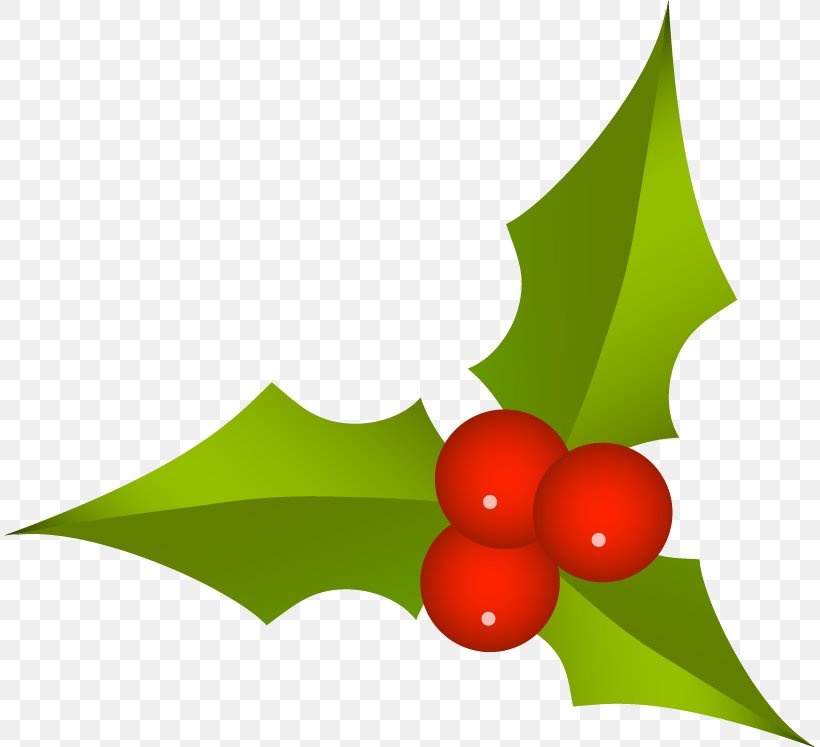 Euclidean Vector, PNG, 810x747px, Sticker, Aquifoliaceae, Christmas, Fruit, Green Download Free