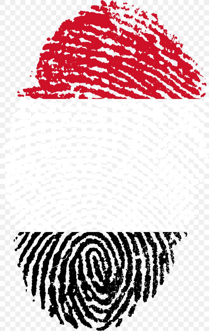 Flag Of Spain Bolivia Flag Of Spain Fingerprint, PNG, 1573x2488px, Spain, Amaia Romero, Area, Black, Black And White Download Free