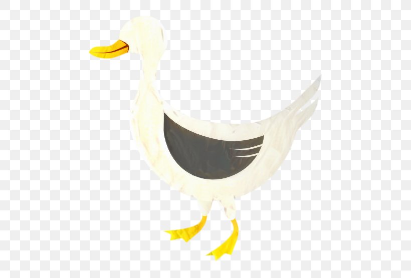 Water Cartoon, PNG, 555x555px, Duck, Beak, Bird, Ciconiiformes, Ducks Geese And Swans Download Free