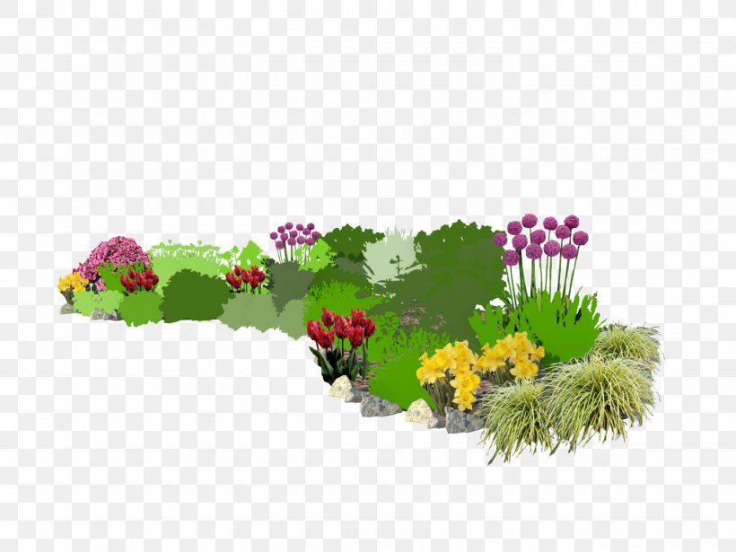 Bedding Floral Design Flowerpot Annual Plant Lawn, PNG, 1440x1080px, Bedding, Annual Plant, Autumn, Blossom, Flora Download Free